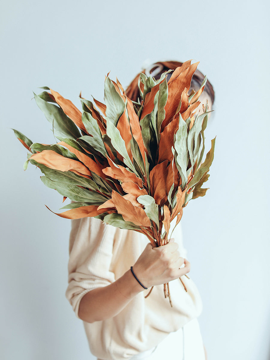 European Imported Double-Sided Leaf Dried Flowers Japanese Retro Style Natural Real Flower Bouquet