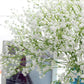 Gypsophila Artificial flower