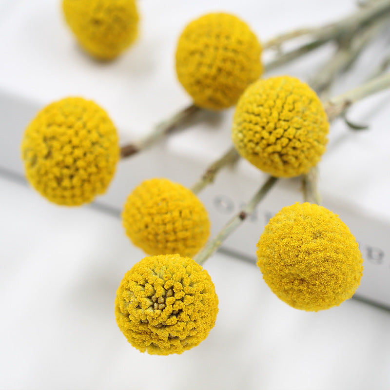 Golden Ball Dried Flower Home Bouquet With Flowers