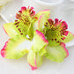 Double orchid flower of Thailand bride wedding flower hairpin beach holiday photo photo hair accessories factory