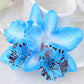 Double orchid flower of Thailand bride wedding flower hairpin beach holiday photo photo hair accessories factory