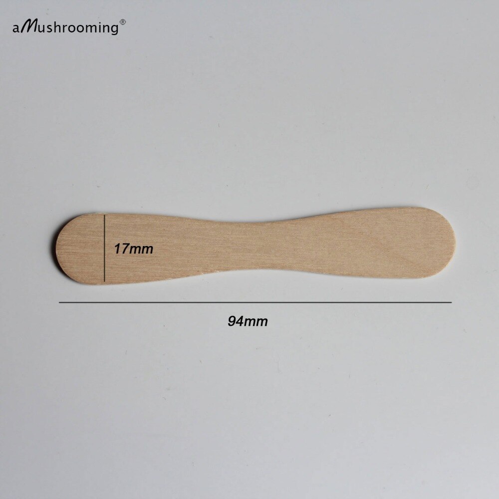 50/100 Plain Personalized Flat Ice Cream Scoops Birchwood Dessert Spoons Personalized Popsicle Sticks Ice Cream Party Disposable